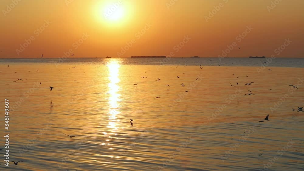 Landscape view of seagulls in sunset at Bang Pu Recreation Center is a seaside resort on the Bay Landscape view of seagulls in sunset at Bang Pu Recreation Center is a seaside resort on the Bay