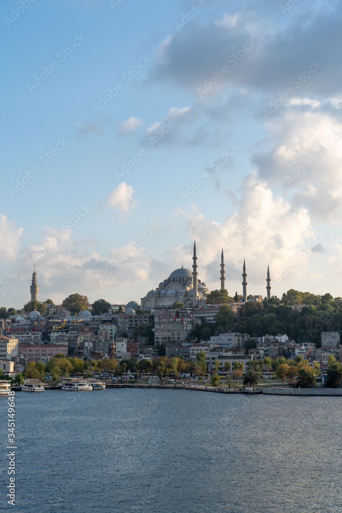 Obraz premium A mosque in the city of Istanbul