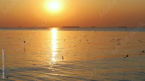 Landscape view of seagulls in sunset at Bang Pu Recreation Center is a seaside resort on the Bay