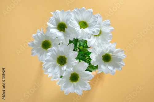 Beautiful bouquet of daisies on a yellow background. White chrysanthemum, top view. Beauty concept.