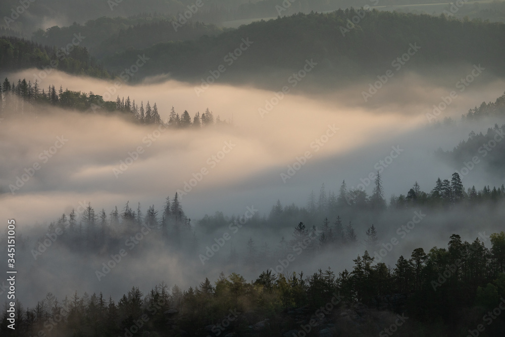 Fototapeta premium morning vibes in Saxon switzerland, saxony, germany