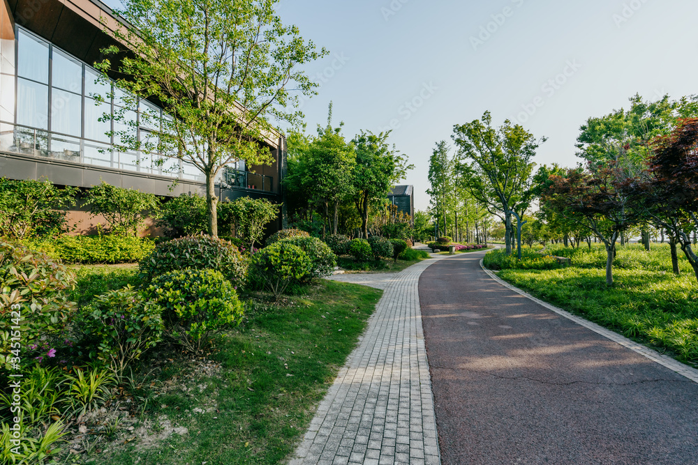 Fototapeta premium road in park