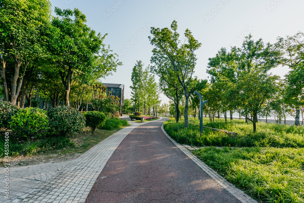 road in park