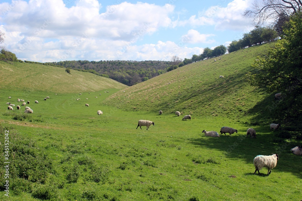 Looking east along Cow Dale (near Huggate), East Riding of Yorkshire.
