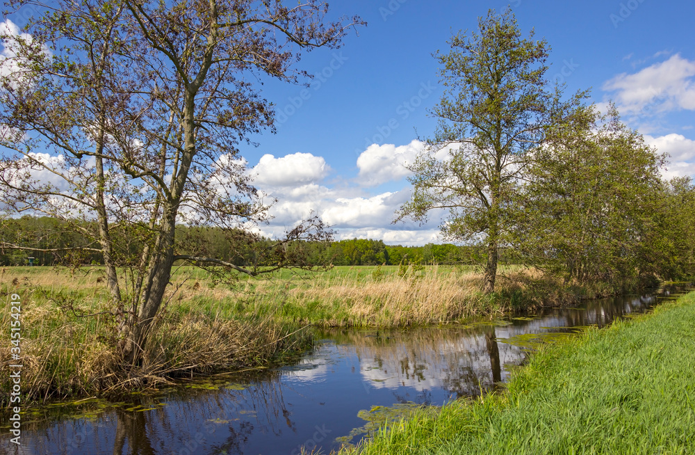 View of a landscape with drainage ditch and meadows in spring.