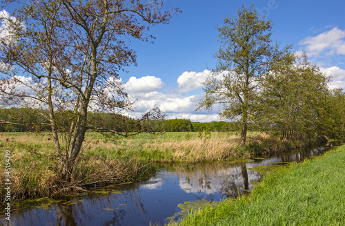 Obraz na płótnie View of a landscape with drainage ditch and meadows in spring. w salonie