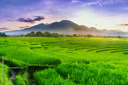 beauty sunrise at paddy fields in north bengkulu asia indonesia, beauty color and sky natural light 