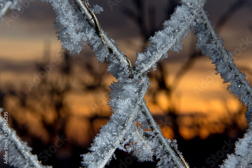 frost and ice crystals on fence in winter evening