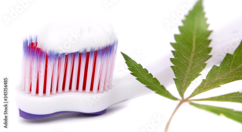 Cannabis CBD toothpaste with hemp leaves and toothbrush isolated on white background  healthcare concept. Copy space