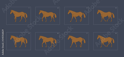 horse walk cycle animation sprite sheet.