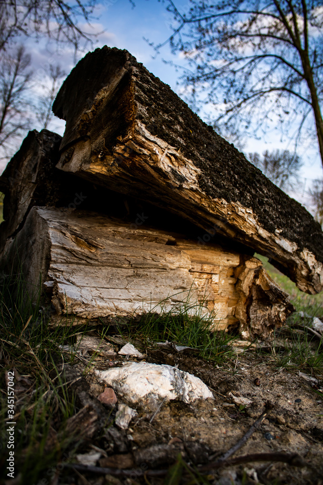 Several destroyed logs