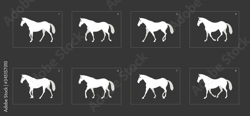 horse walk cycle animation. frame by frame classic horse walk animation sprite sheet for design, animation or motion design.