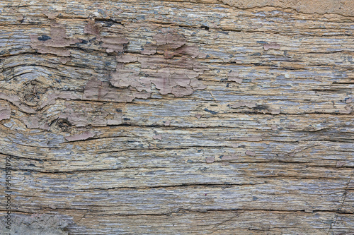 The old wood texture with natural patterns