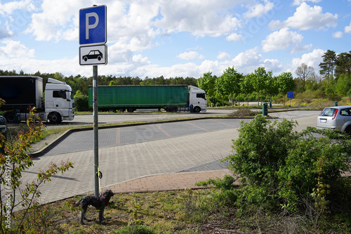 Abandoned pet dog leashed on parking sign pole at at highway resting spot  photo