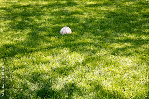 soccer ball on grass