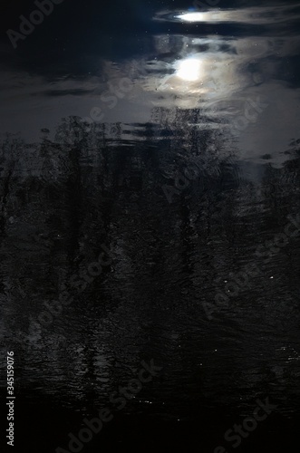 Reflection of trees and sun in dark river water. Abstract blurry dark river water reflection of the bare trees © SHARKY PHOTOGRAPHY