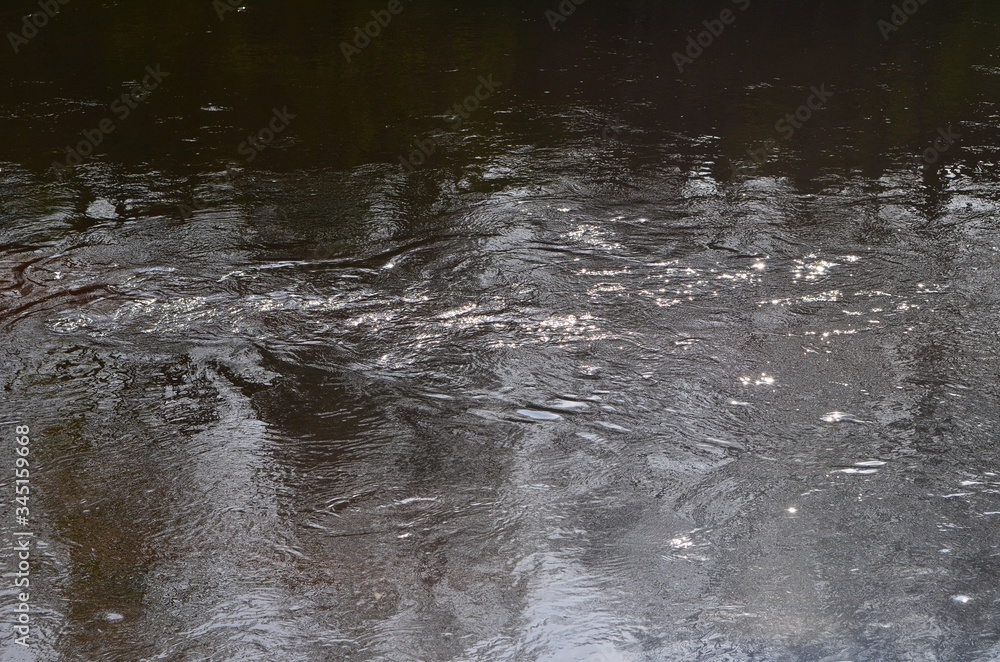 Obraz premium Reflection of trees in dark river water. Abstract blurry dark river water reflection of the bare trees