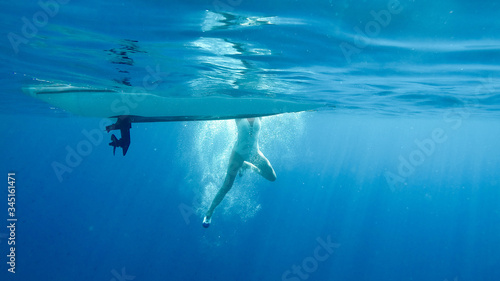 bajo el mar © Alonso