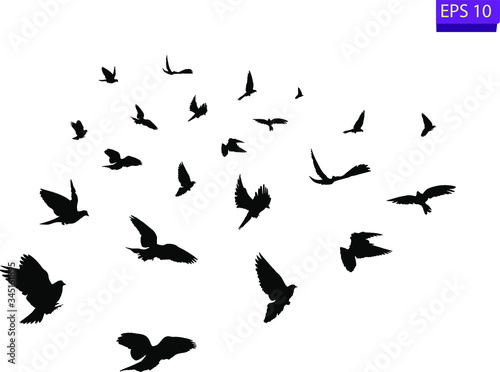 Flock of flying birds. Transparent background. silhouette of flying birds. Black vector flying birds flock silhouette. EPS 10