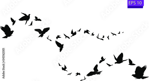 Flock of flying birds. Transparent background. silhouette of flying birds. Black vector flying birds flock silhouette. EPS 10