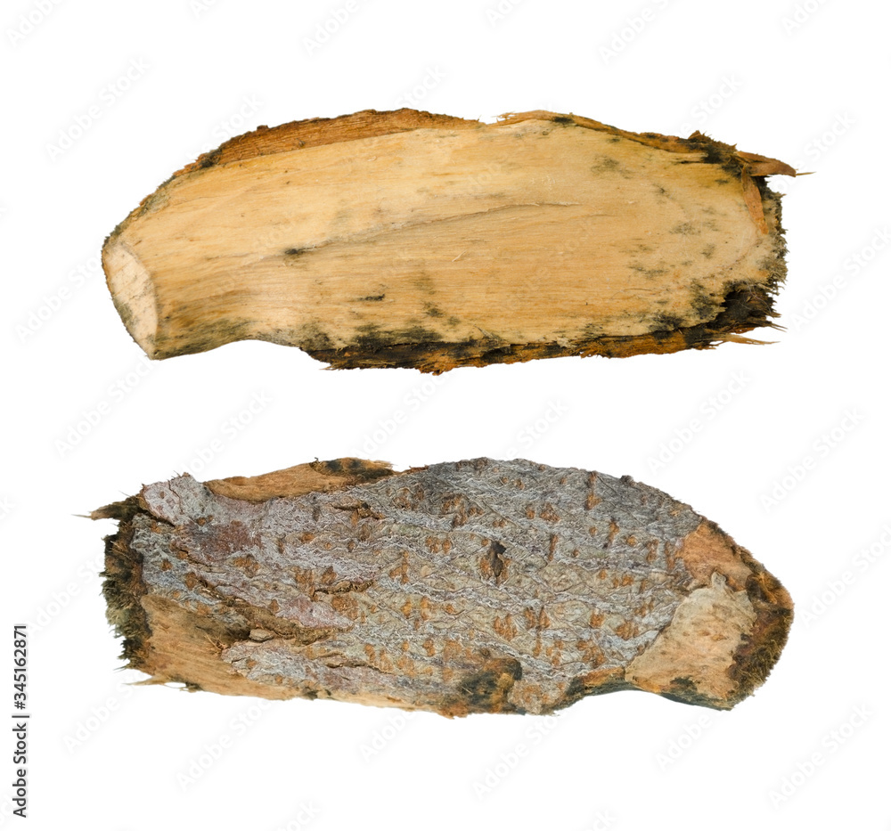Wooden splinter or piece of bark isolated on white background. Item for mock up, scene creator and other design.
