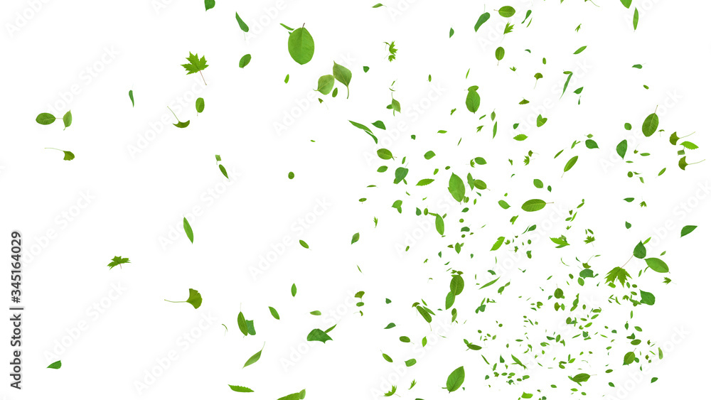 Green Flying leaves leaf 3D illustration background. - obrazy, fototapety, plakaty 