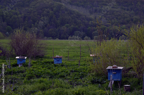 Old wooden beehives in an apiary on a green meadow.