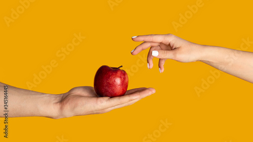 Man and woman with ripe red apple on orange background, closeup of hands. Panorama