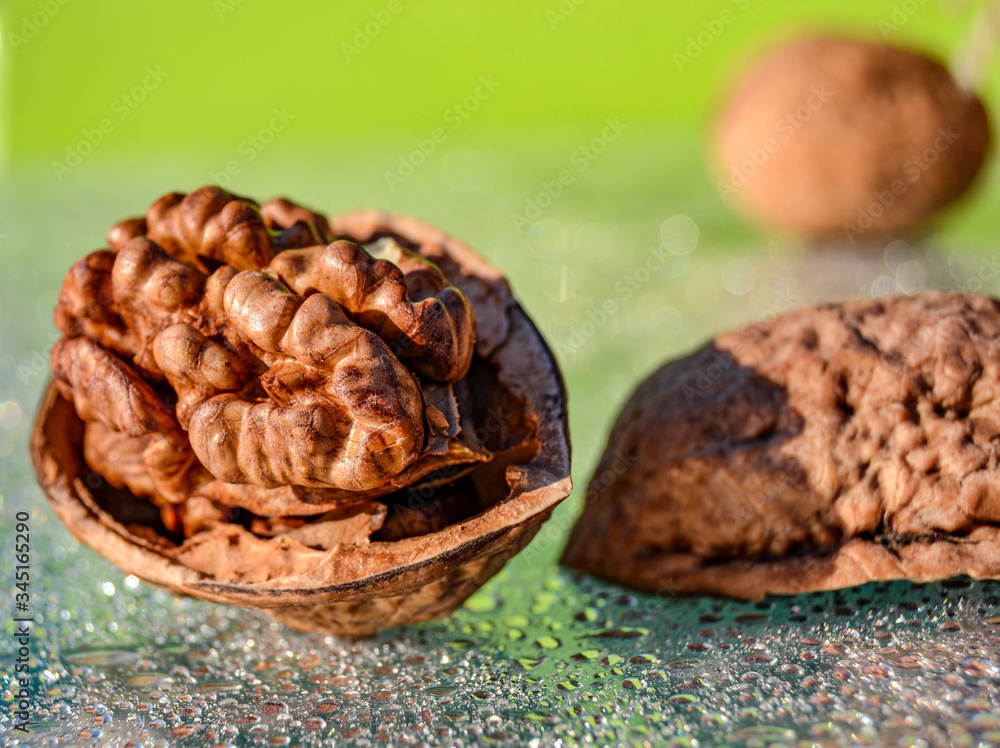 Obraz premium Walnut. Light green background. Walnut shell. Macro.