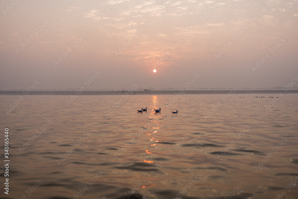 Aves nadando en el río Ganges durante un amanecer en Varanasi.