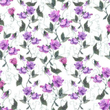 Seamless pattern with pink sweet pea flowers. Watercolor floral elements isolated on white background. Ideal illustration for textile, print and wrapping paper design.  