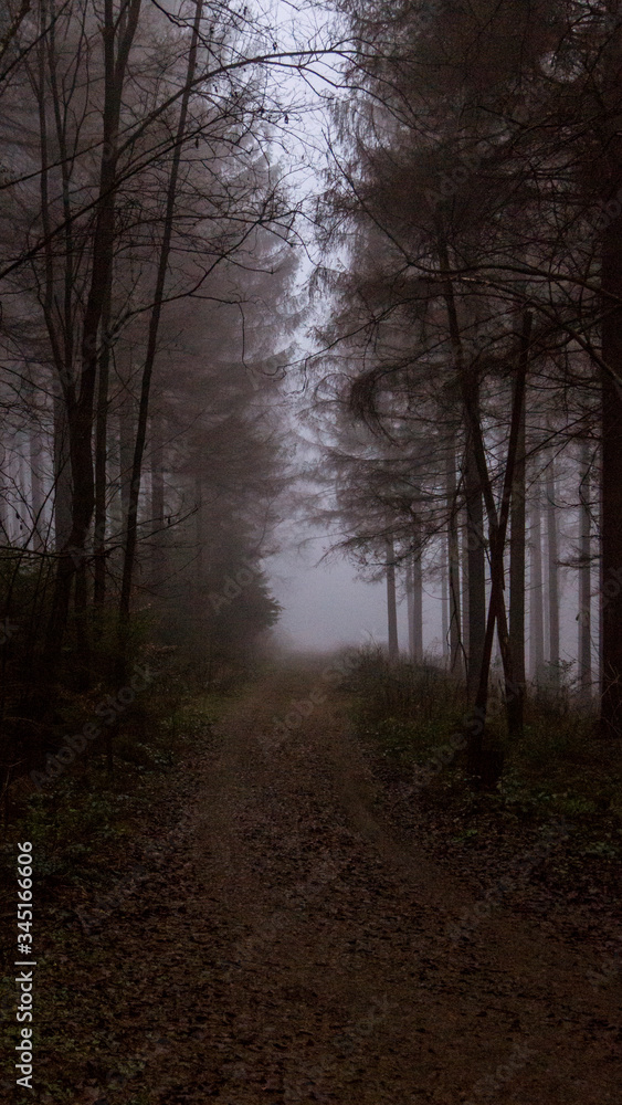 Obraz premium Weg in Nichts