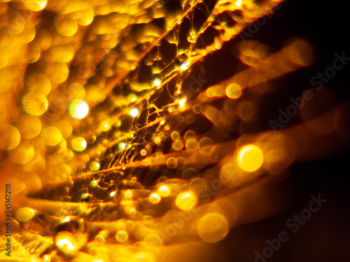 The background is orange. Dandelion. Bokeh. Macro.