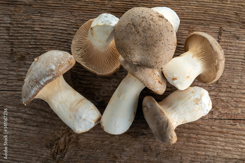 King trumpet mushroom on a background of wood texture. Useful edible mushrooms.