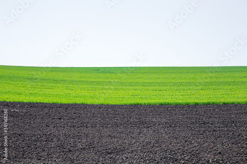 Wallpaper Mural Beautiful black earth fields in Ukraine. Agricultural rural landscape, colorful hills. Plowed dark land and green fields. Torontodigital.ca