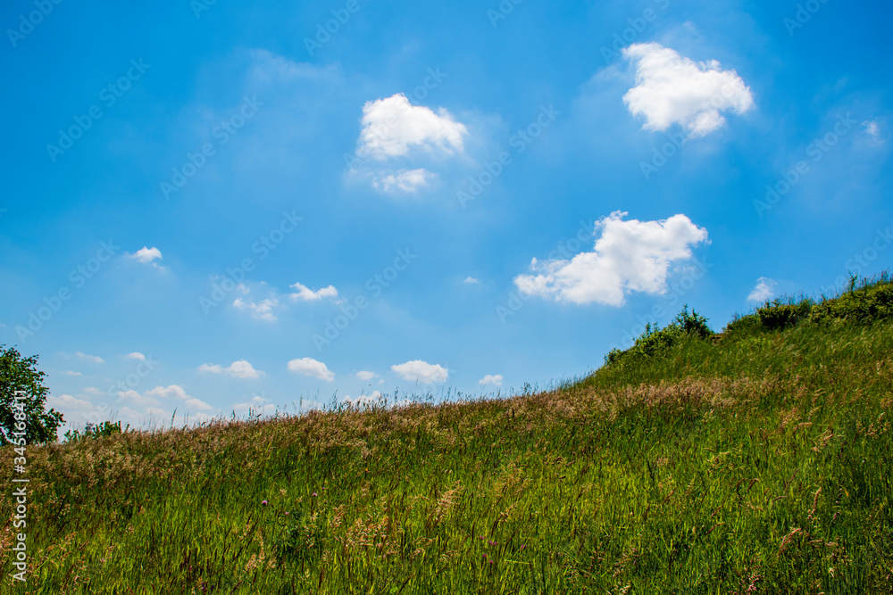 green meadow with 3 white clouds green meadow with 3 white clouds