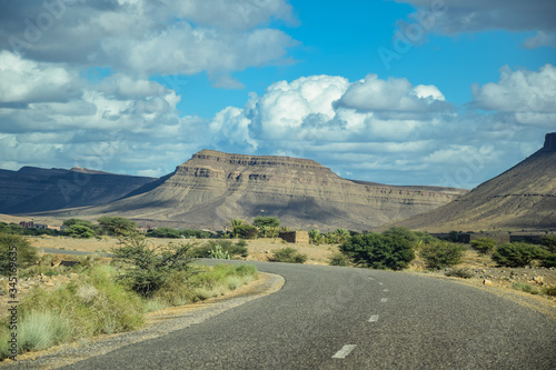 Asphalt road in summer time