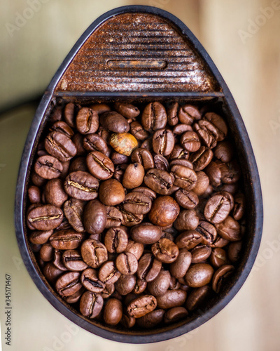 Coffee beans in a coffee grinder on the table