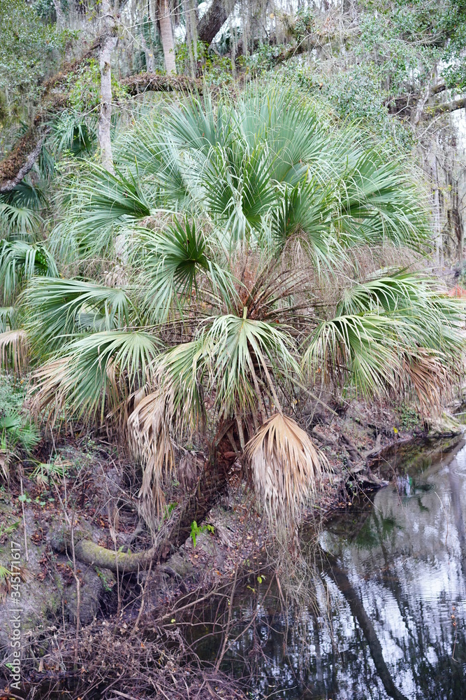 Hillsborough river at Tampa, Florida Hillsborough river at Tampa, Florida