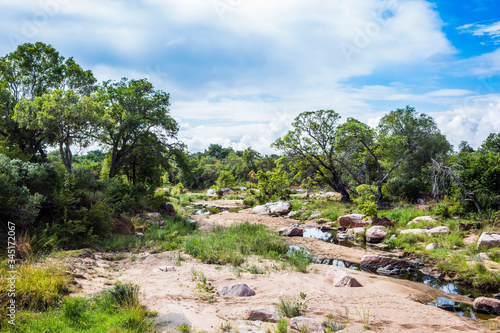 Picturesque steppe rocky stream