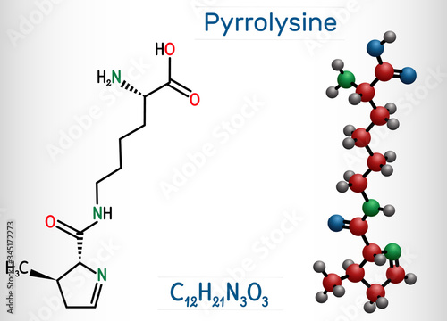 Pyrrolysine, l-pyrrolysine, Pyl, C12H21N3O3 molecule. It is amino acid, is used in biosynthesis of proteins. Structural chemical formula and molecule model