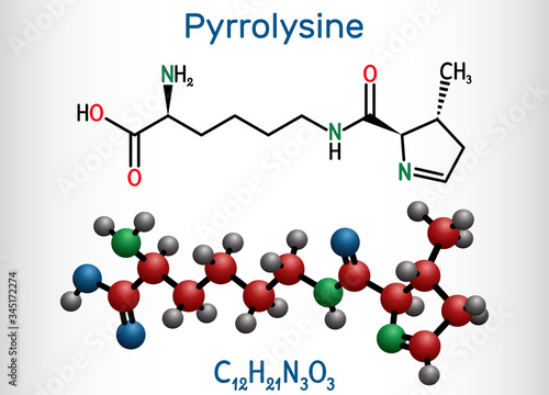 Pyrrolysine, l-pyrrolysine, Pyl, C12H21N3O3 molecule. It is amino acid, is used in biosynthesis of proteins. Structural chemical formula and molecule model