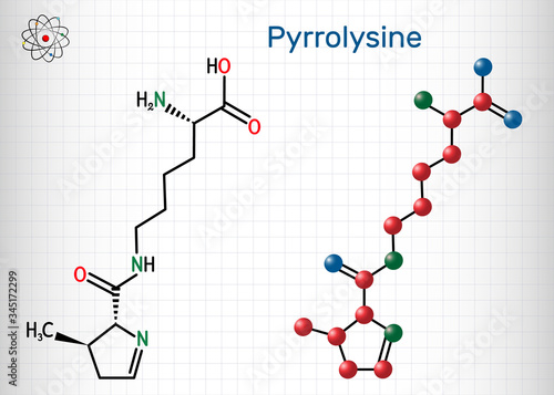 Pyrrolysine, l-pyrrolysine, Pyl, C12H21N3O3 molecule. It is amino acid, is used in biosynthesis of proteins. Structural chemical formula and molecule model. Sheet of paper in cage
