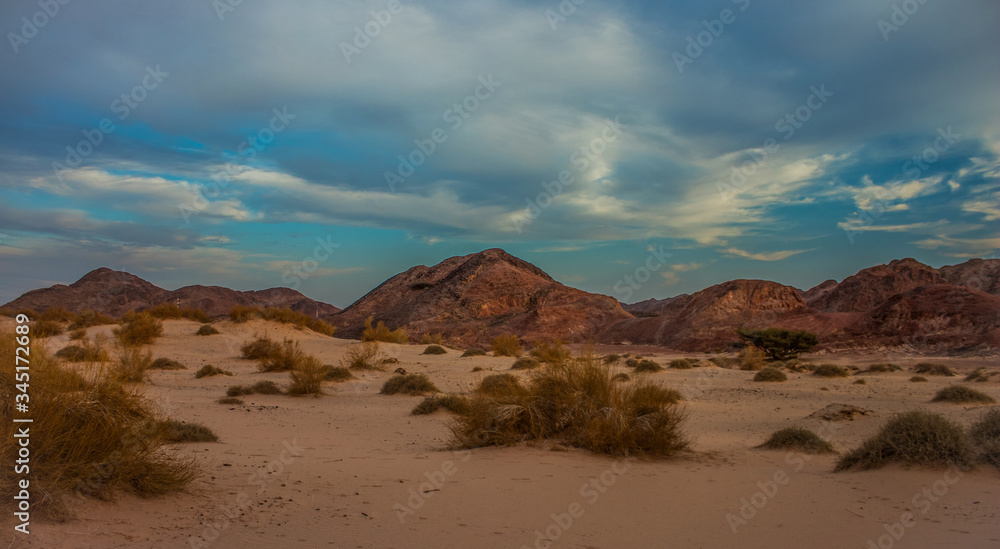 evening desert sand mountain tumbleweed scenery landscape view Western USA