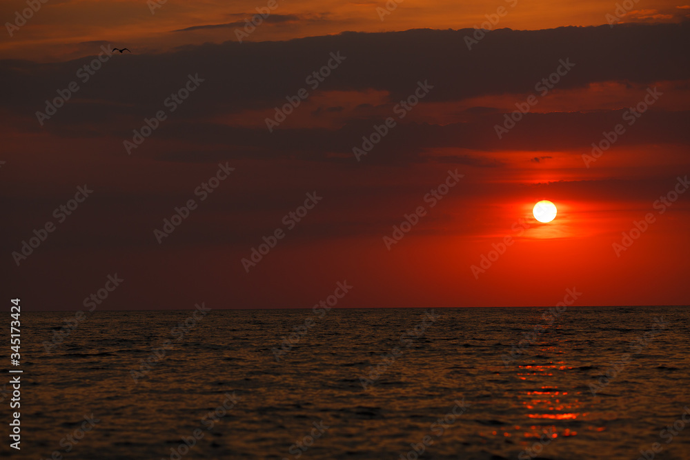 landscape. sunset over the sea. red sun.