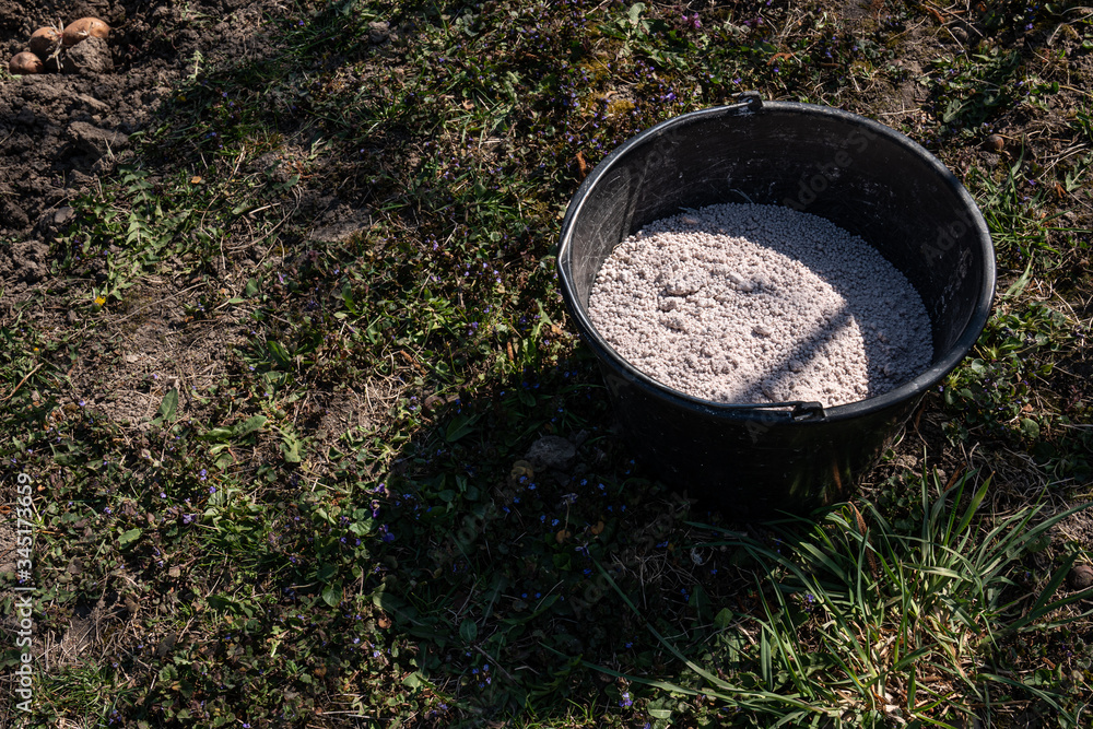 The black plastic bucket with a granulated fertilizer The black plastic bucket with a granulated fertilizer