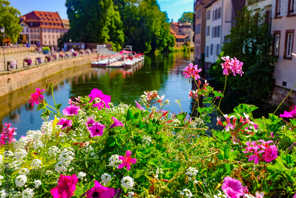 Flowers above the Ill river. Strasbourg, Alsace, France.