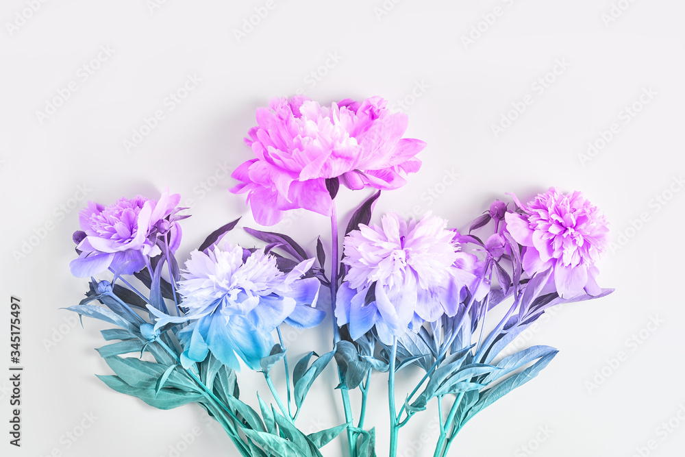a bouquet of peonies painted in a beautiful pastel gradient. flat lay, top view