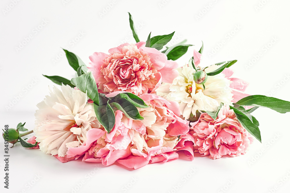 a bouquet of pink peonies on a light background. summer flowers