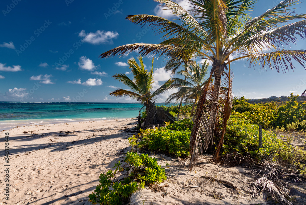 Obraz premium Caribbean island panorama of Anguilla shoal Bay
